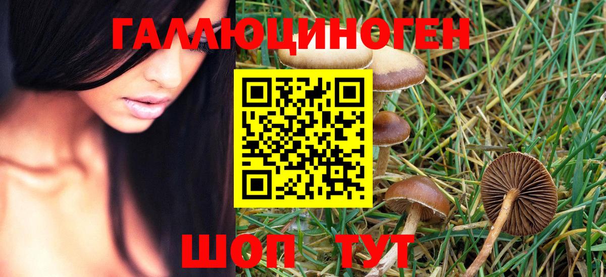 Галлюциногенные грибы MAGIC MUSHROOMS Сызрань